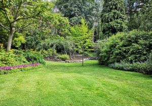 Optimiser l'expérience du jardin à Tilly-sur-Seulles